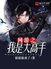 网游之我是大高手免费阅读