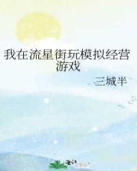 我在流星街玩模拟经营txt