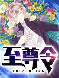 萧辰白夜