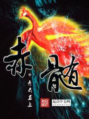 赤髓 青云直上.QD