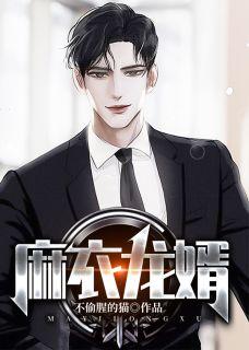 麻衣龙婿几个女主