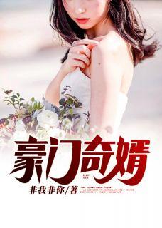 豪婿奇书