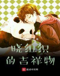 晓组织的吉祥物精校