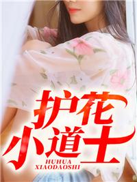 护花高手在都市作者晓言