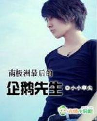 南极企鹅现状