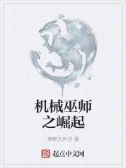 古墓丽影崛起巫师