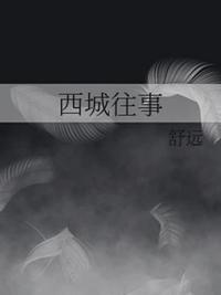 西城往事txt