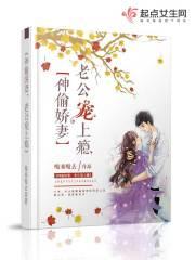 神偷宠妃免费阅读全文