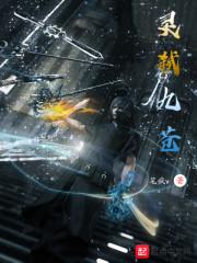 灵武弑九天境界