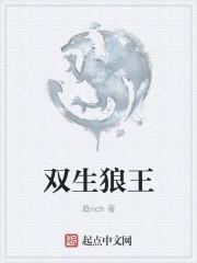 双生王子免费阅读