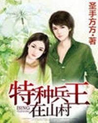 特种兵王在山村介绍