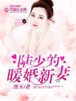陆少的暖婚新妻什么时候写的