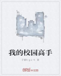 校园高手二