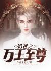 奶爸至尊番外
