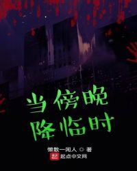 当夜幕降临在这个城市