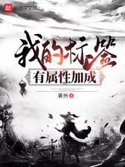 我的标签有属性加成地图