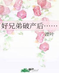 好兄弟破产后txt