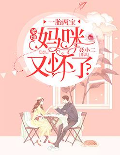 一胎两宝爹地妈咪又怀了演员