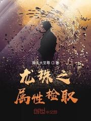 龙珠之检属性系统