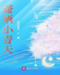 潇洒小青天 雾影谜踪