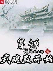 穿越成武魂殿的人