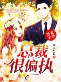 罪妻来袭总裁很偏执2567