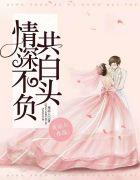 情深不负共白头30集短剧