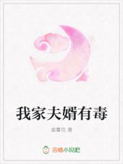 我家赘婿免费阅读