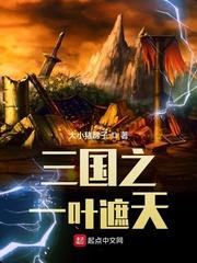 三国之一叶遮天 大小猪蹄子