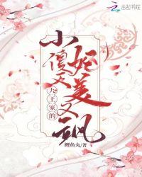 九王的宠妃