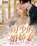 司少狂宠二婚妻免费阅读