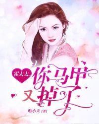 你马甲又掉了一共多少章节
