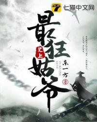 史上最狂姑爷无弹