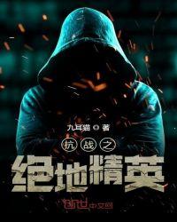 抗战电视剧绝地归途
