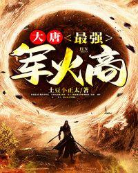 大唐最强军火商 土豆小正太