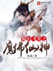 蜀山飞仙