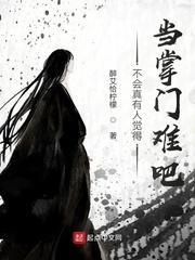 掌门人不好当