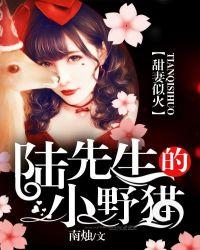 陆先生宠婚甜蜜蜜在线阅读
