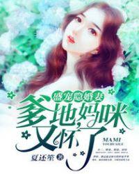 妈咪又怀了免费阅读