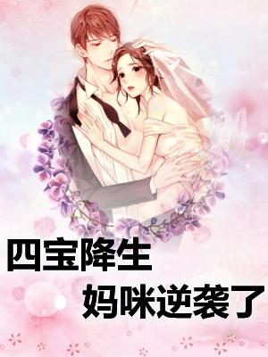 沈寒风苏若夕