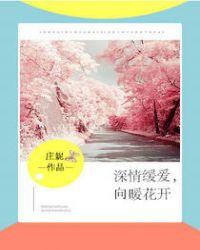 深情暖爱向暖花开免费阅读