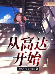 高达哪一年开始的