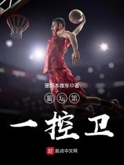 篮坛第一控卫里斯本夜车TXT