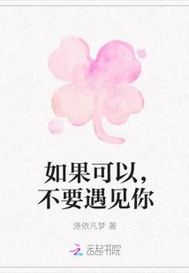 如果可以遇见你歌词是什么意思