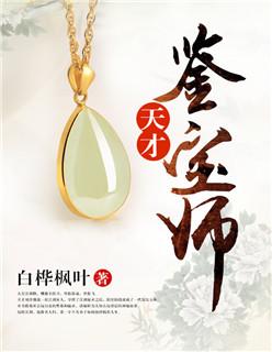 天才鉴宝师txt