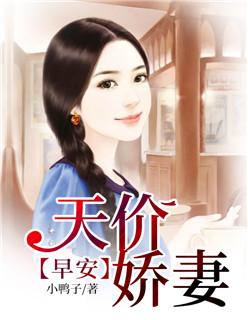 总裁天价娇妻