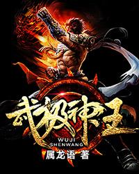 武极神王境界体系
