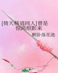 倚天杨逍原创女主同人文