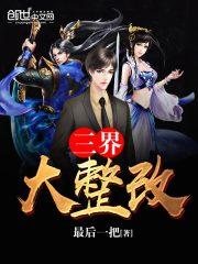 什么是三大整改
