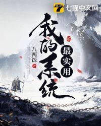 我的系统最实用 八两饭